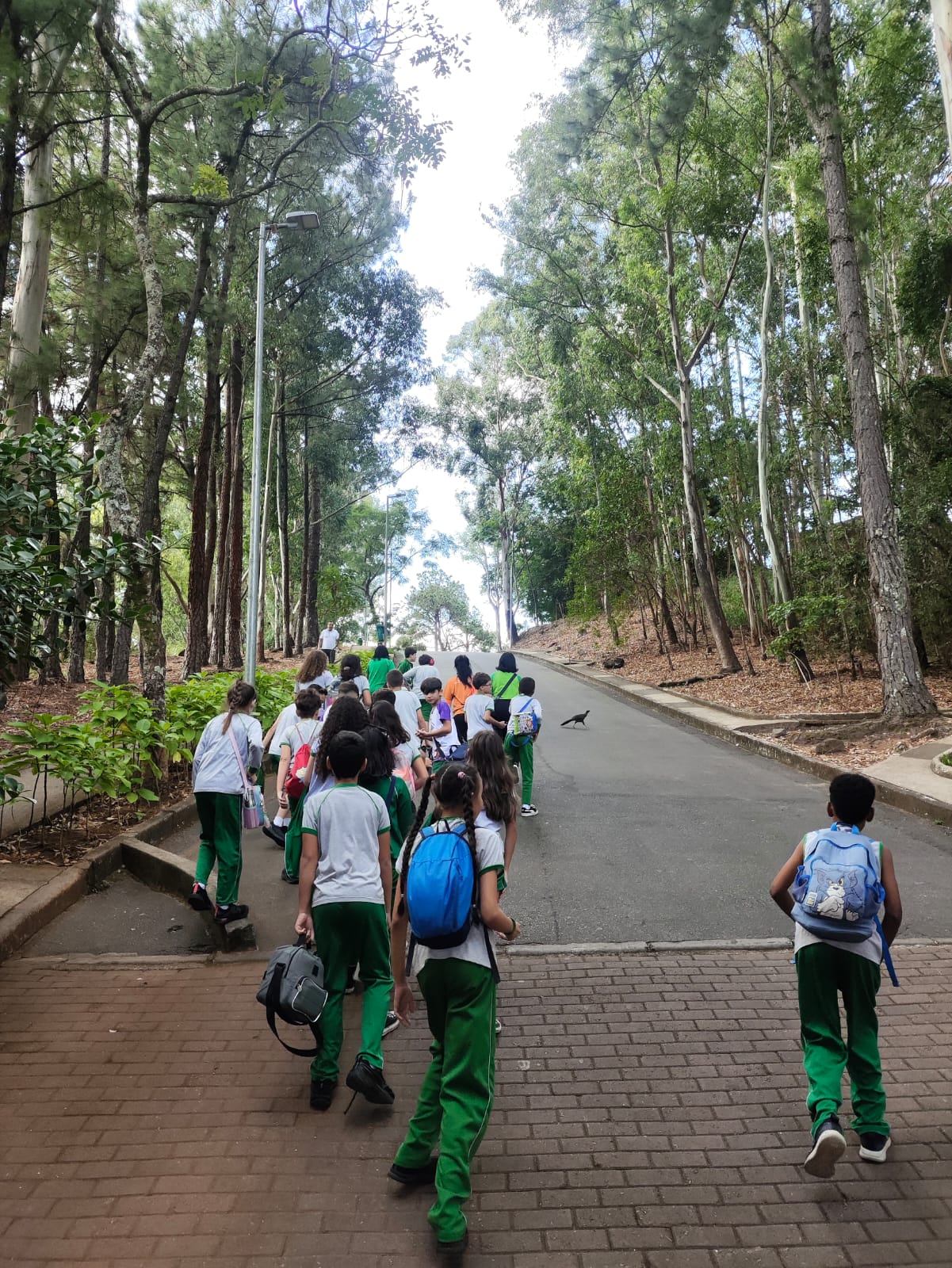 Experiência Avoar Turismo