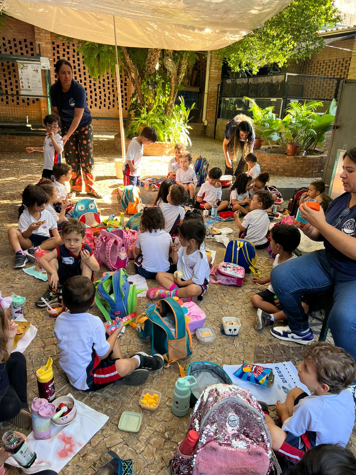 Experiência Avoar Turismo