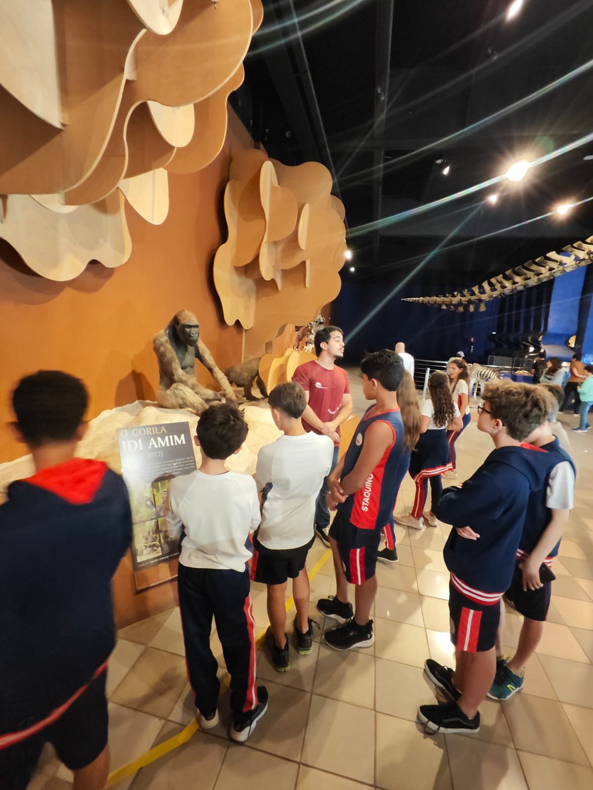 Experiências pedagógicas Avoar Turismo